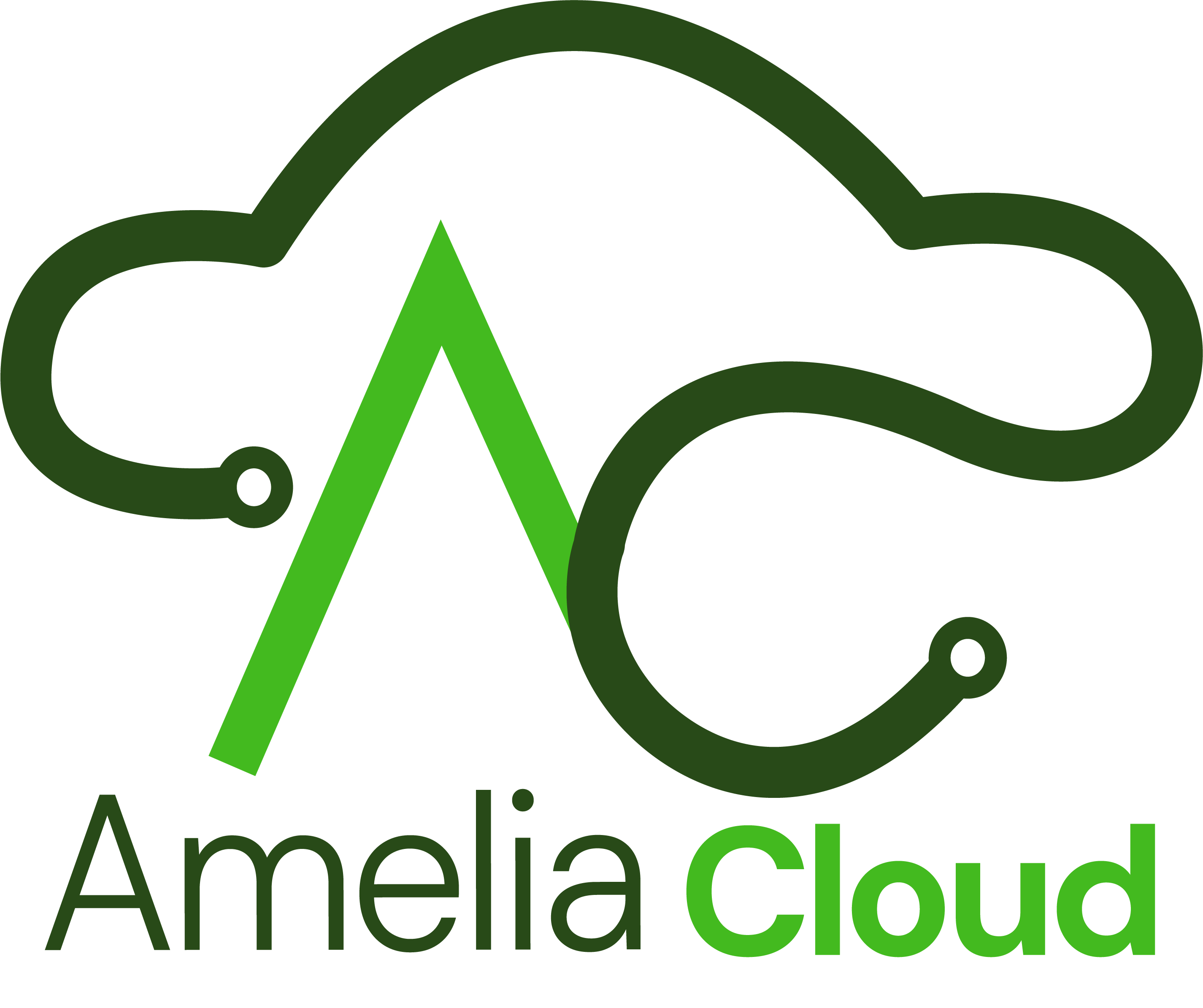Amelia Cloud